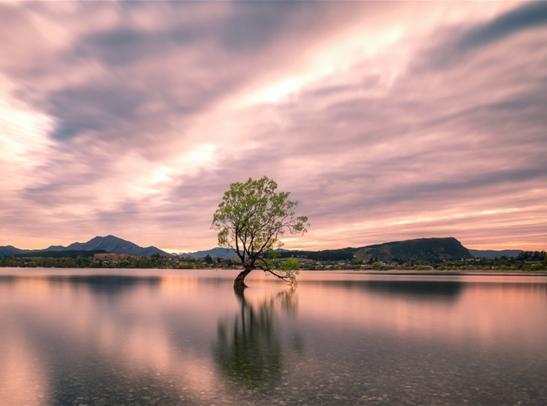 氨氮檢測(cè)儀