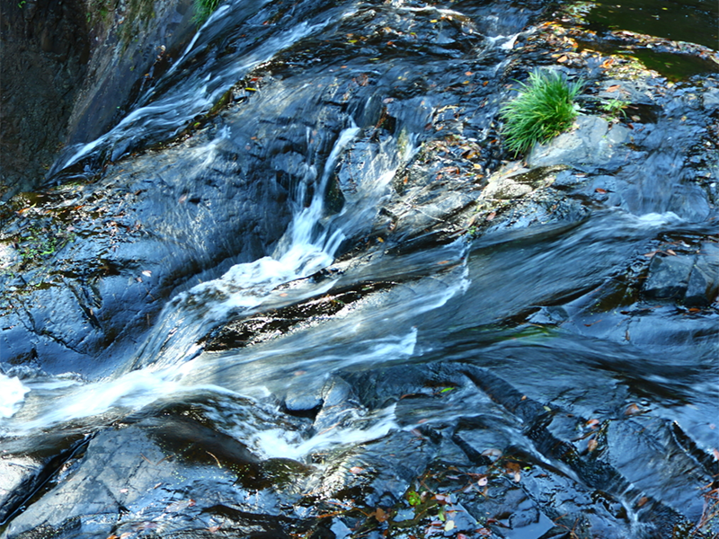 水質(zhì)重金屬檢測方法