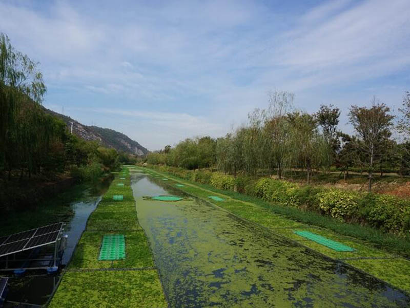 水產(chǎn)養(yǎng)殖中氨氮亞硝酸鹽如何降解