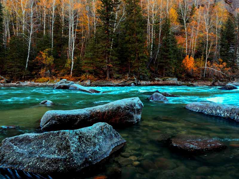 全國開展水生態(tài)監(jiān)測(cè)是趨勢(shì)