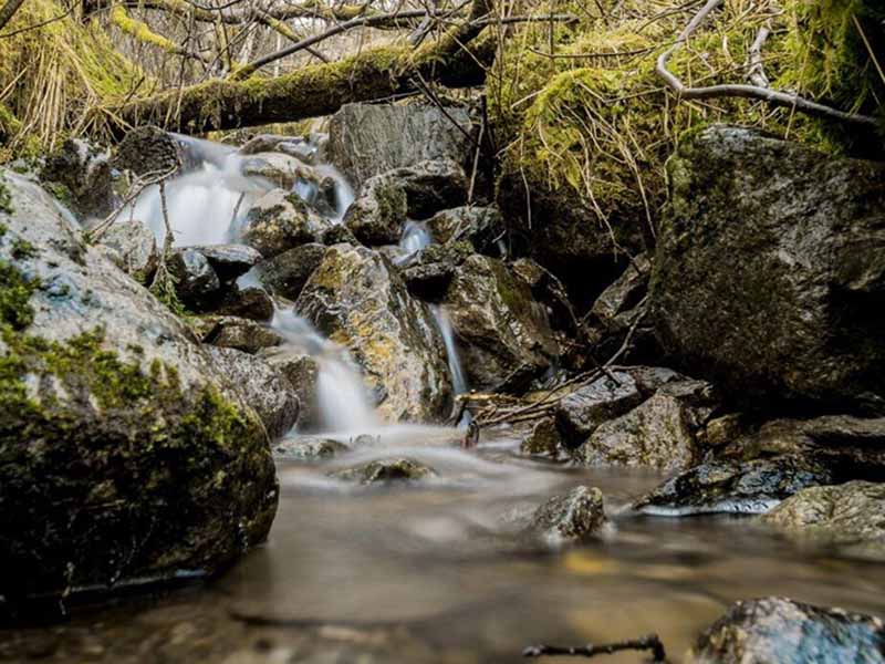 便攜COD氨氮檢測儀助力廢水檢測