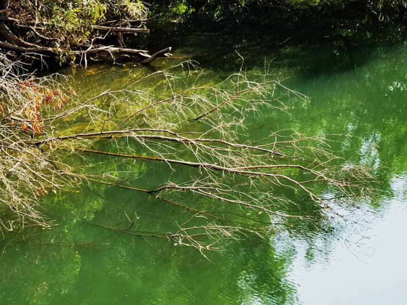 水中氨氮檢測(cè)有哪些預(yù)處理方式