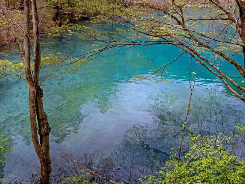 磷酸鹽水質(zhì)檢測數(shù)據(jù)能否用總磷替代