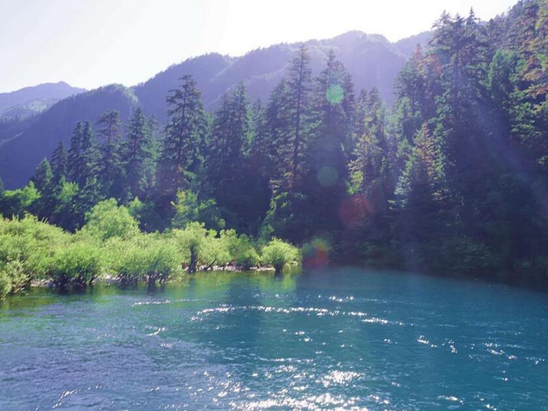 廢水氨氮和COD超標(biāo)怎么去除