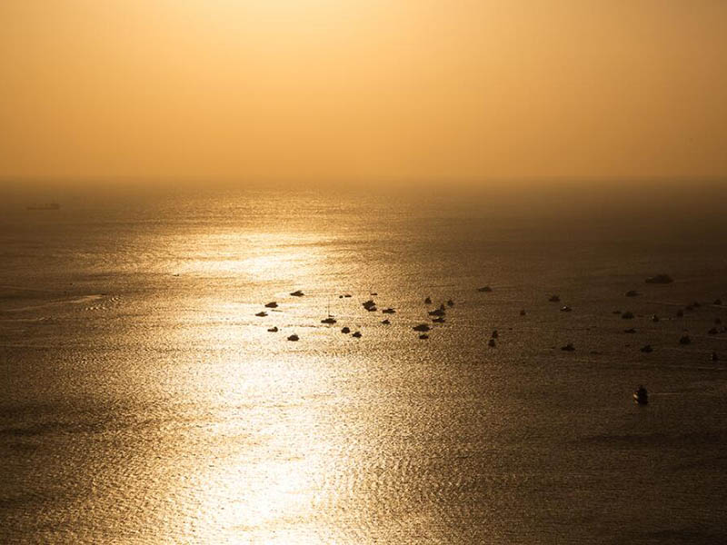 水質(zhì)微生物檢測(cè)儀原理依據(jù)