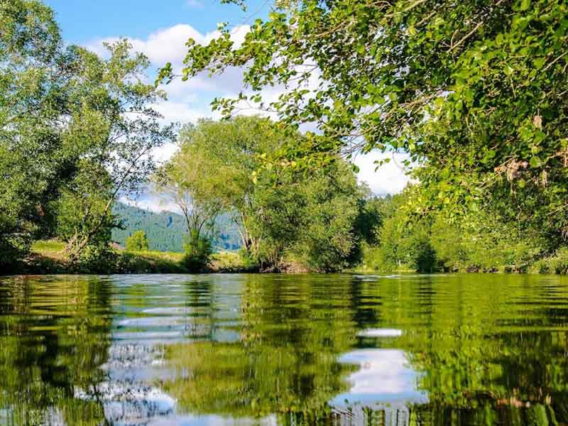 COD測定儀測空白值一般多大