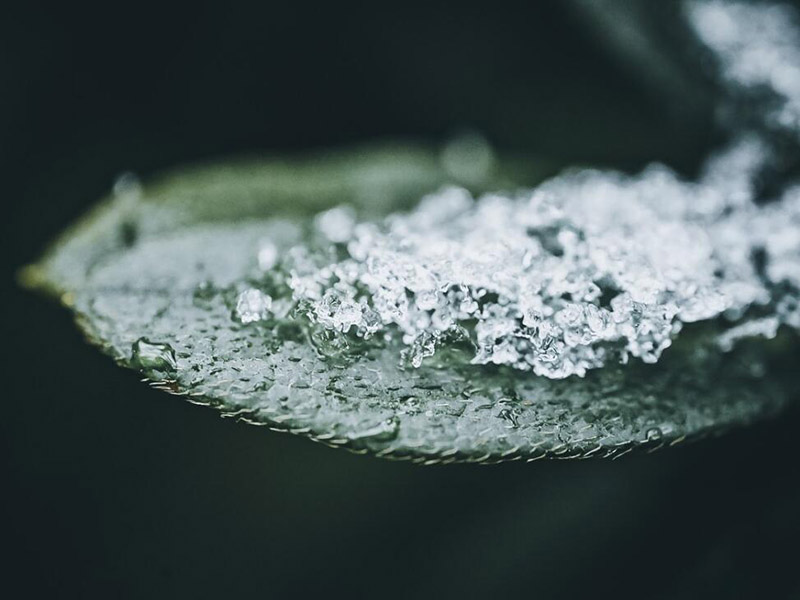 水質(zhì)檢測中為什么需要消解儀