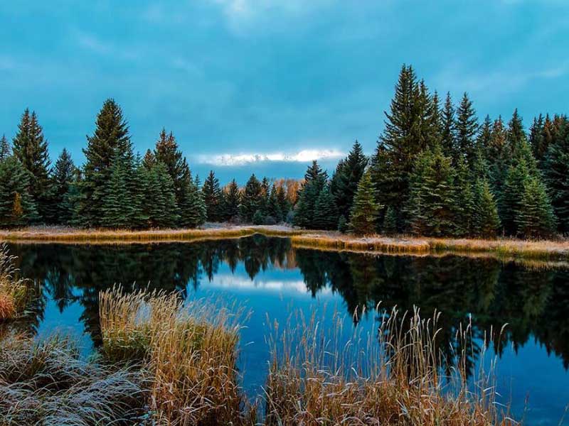 多參數(shù)水質(zhì)檢測(cè)儀的作用