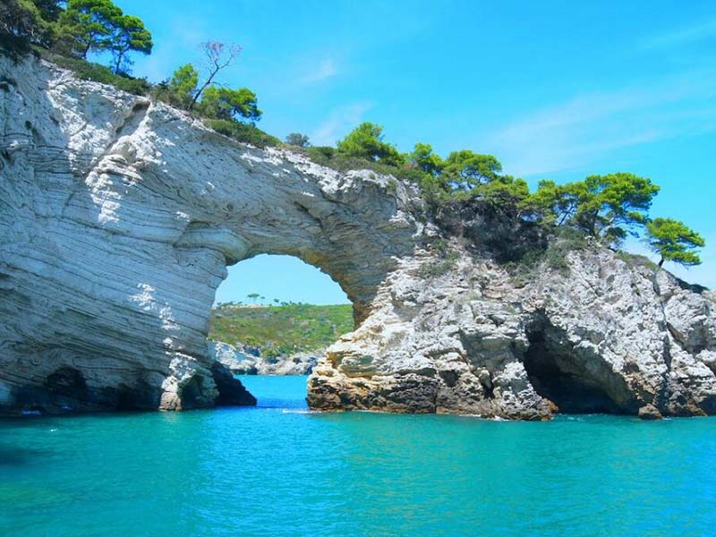 總氮快速檢測(cè)儀如何記錄數(shù)據(jù)