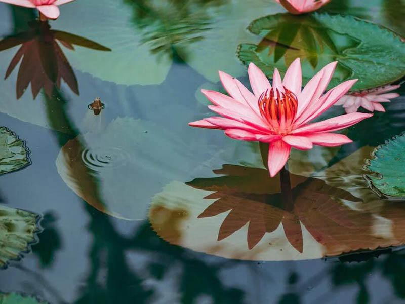 總磷檢測(cè)儀使用常見(jiàn)問(wèn)題及原因