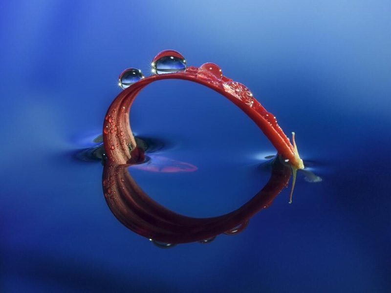 余氯、總氯、化合性氯的區(qū)別