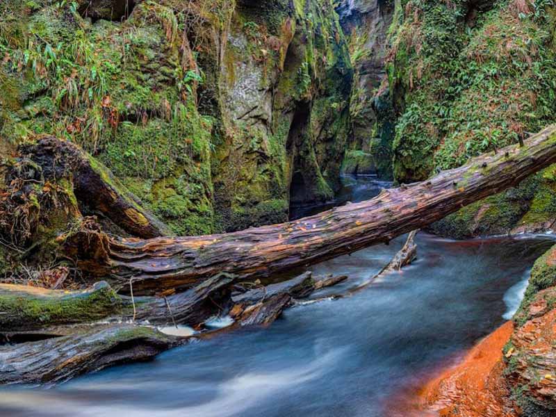 長(zhǎng)江流域水生態(tài)系統(tǒng)健康評(píng)價(jià)指標(biāo)