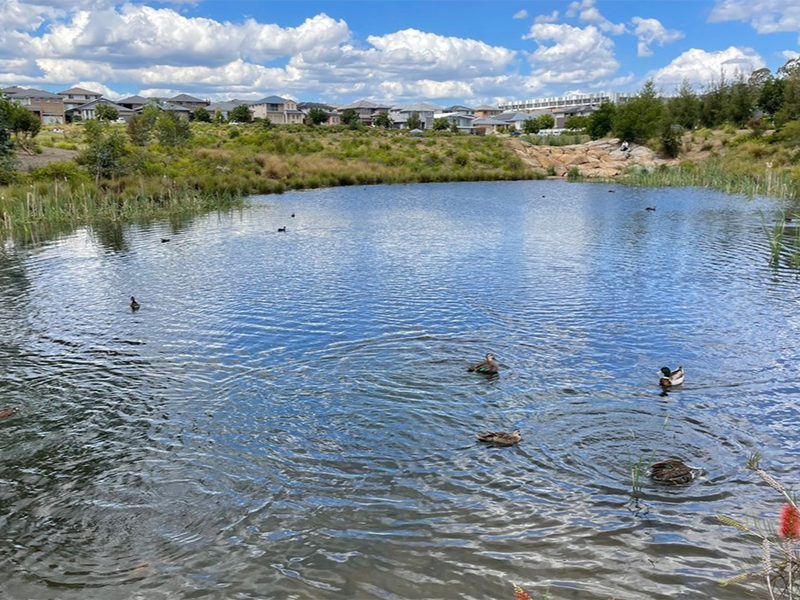 氨氮檢測(cè)蒸餾過(guò)程如何操作