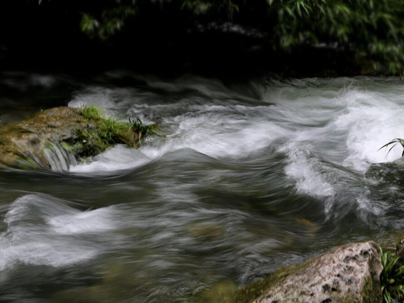 電極法測(cè)定BOD5用幾個(gè)溶解氧瓶的樣品