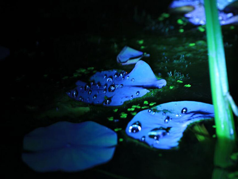 生活飲用水微生物指標(biāo)有哪些