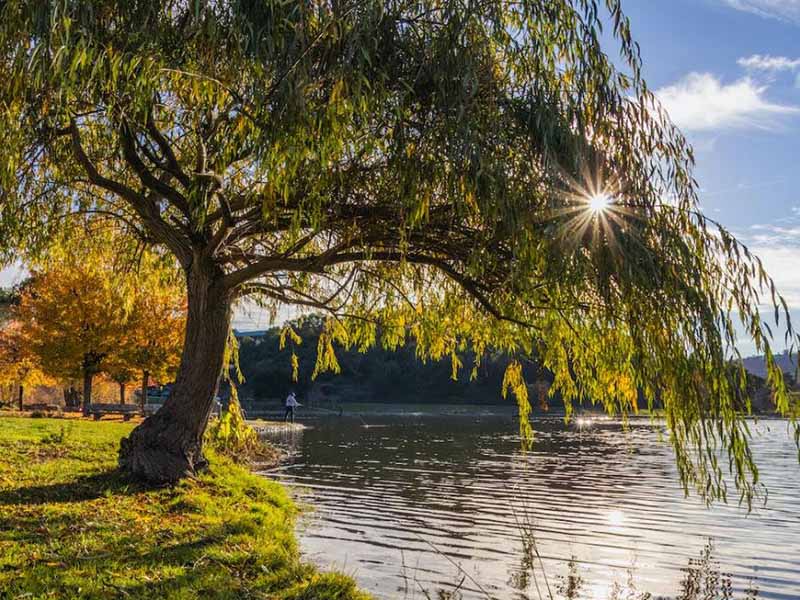 “三磷”與總磷污染有什么關(guān)系