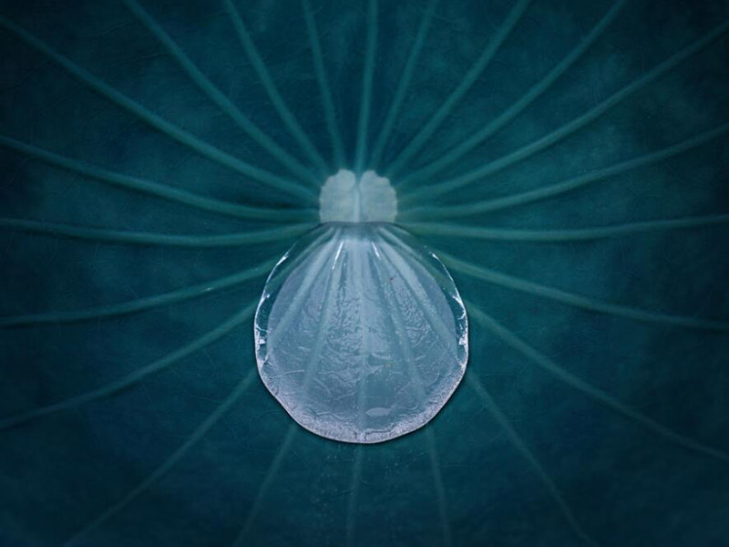 飲用水高氯酸鹽檢測(cè)標(biāo)準(zhǔn)值