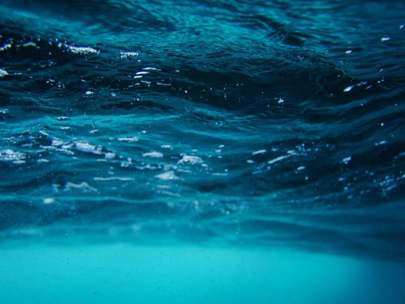 入海河流總氮超標原因