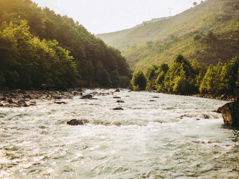 手持式COD檢測儀價格