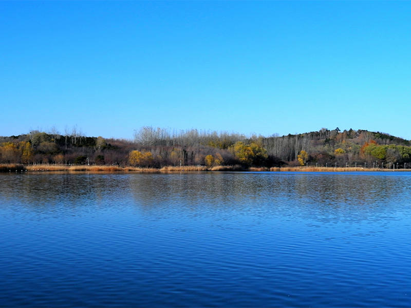 影響水體色度的因素