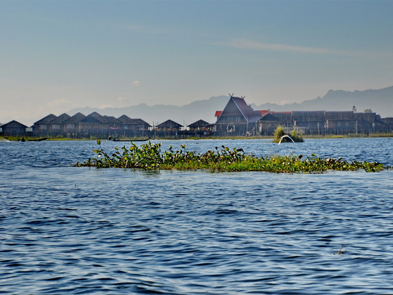 麥?zhǔn)霞?xì)菌濁度分析儀操作規(guī)程