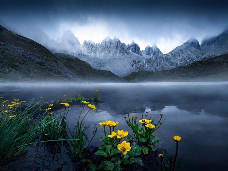 便攜式COD檢測儀安全操作規(guī)程