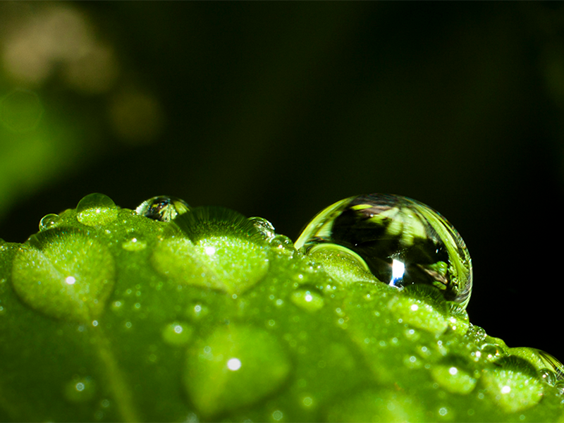 余氯和總氯的區(qū)別