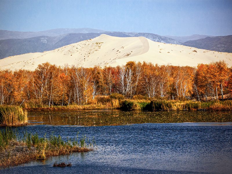為什么水質(zhì)COD檢測水樣需要消解