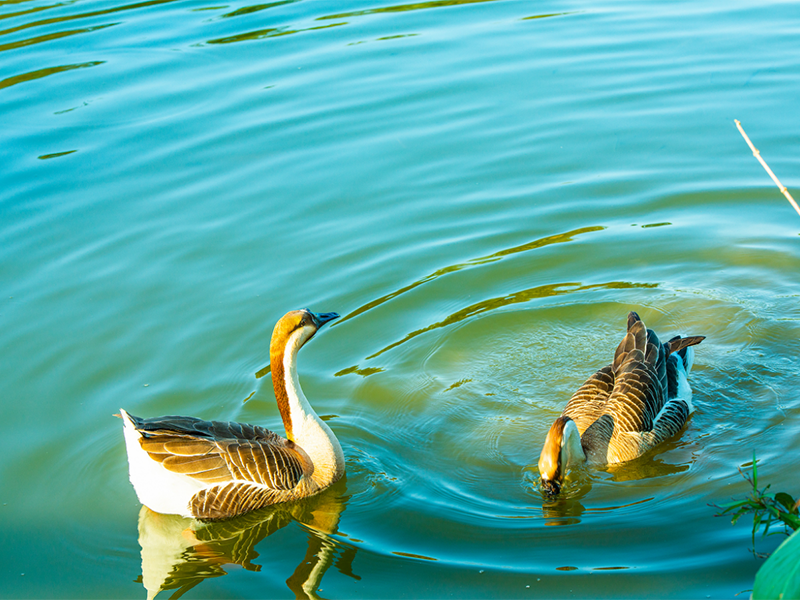 COD測(cè)定儀具體使用步驟