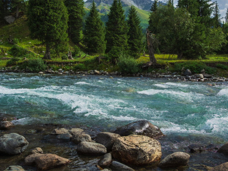 水質(zhì)監(jiān)測(cè)儀和水質(zhì)測(cè)定儀的區(qū)別